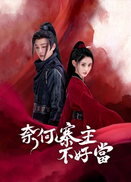 奈何寨主不好当 第03集