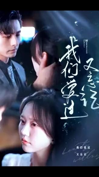 我们爱过又忘记 全集