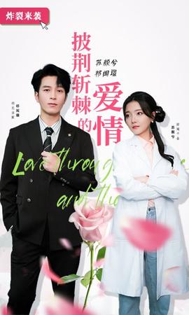 披荆斩棘的爱情 全集(大结局)