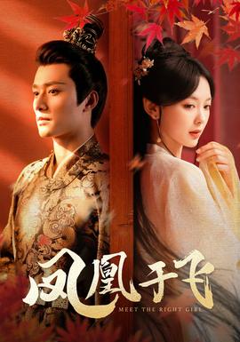 凤凰于飞 全集(大结局)