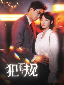 犯了规 全集