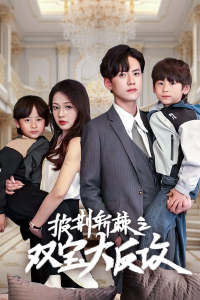 披荆斩棘之双宝大反攻 全集(大结局)