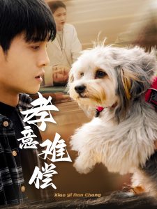 孝意难偿 第01-32集(大结局)