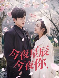 今夜星辰今夜你 第31-60集