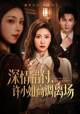 深情错付，许小姐高调离场(全集)